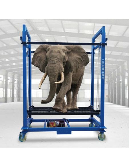 Schela cu motor 6m ridicare 500kg, schela metalica cu motor, schela electrica, schela cu lift, lift exterior Elastix