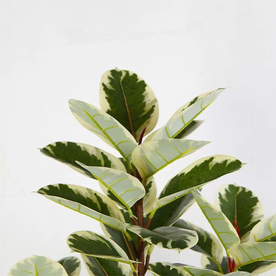 Planta Banyan artificiala, planta decor 150 cm,...