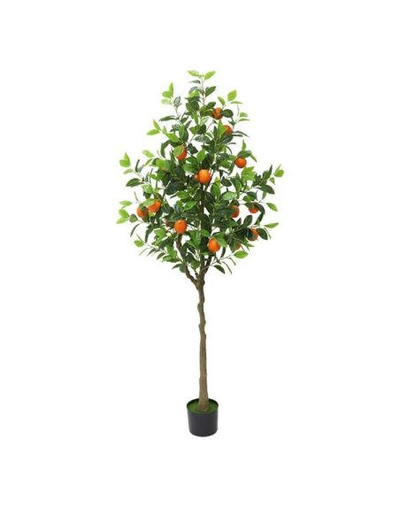 Pom Orange Tree, planta decor 120 cm, Elastix