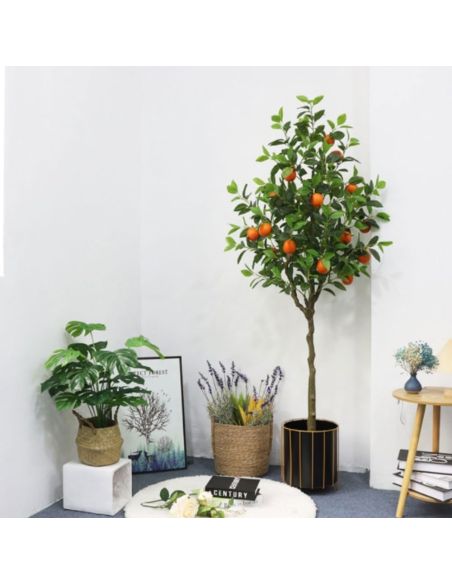 Pom Orange Tree, planta decor 120 cm, Elastix