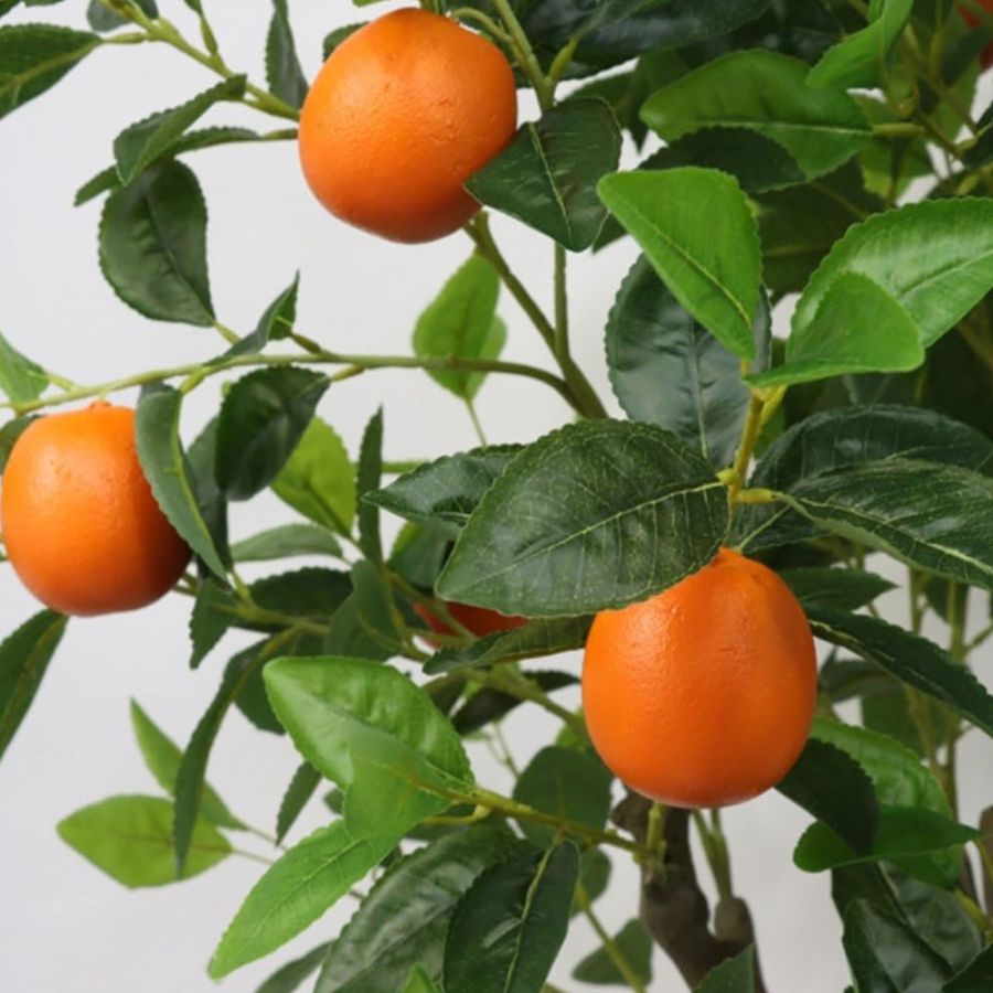 Pom Orange Tree, planta decor 150 cm, Elastix
