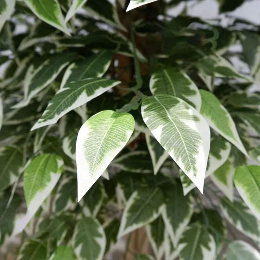 Copac artificial Banyan Tree C 210 cm, Elastix