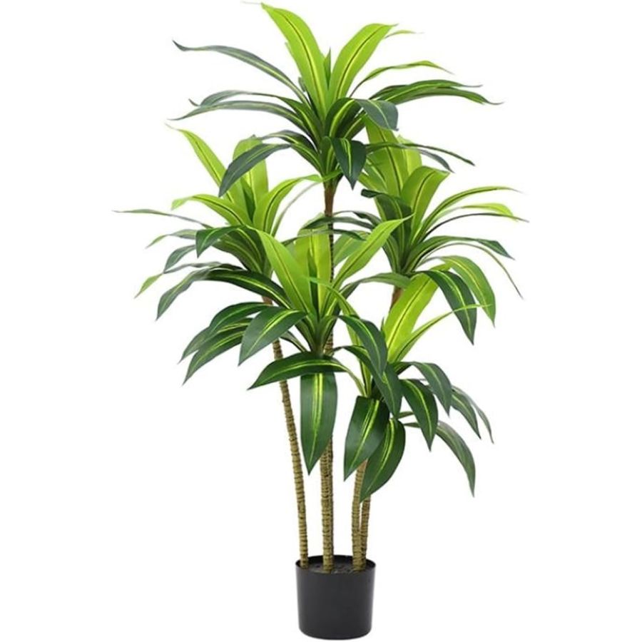 Planta Brazilian Wood artificiala, planta decor...