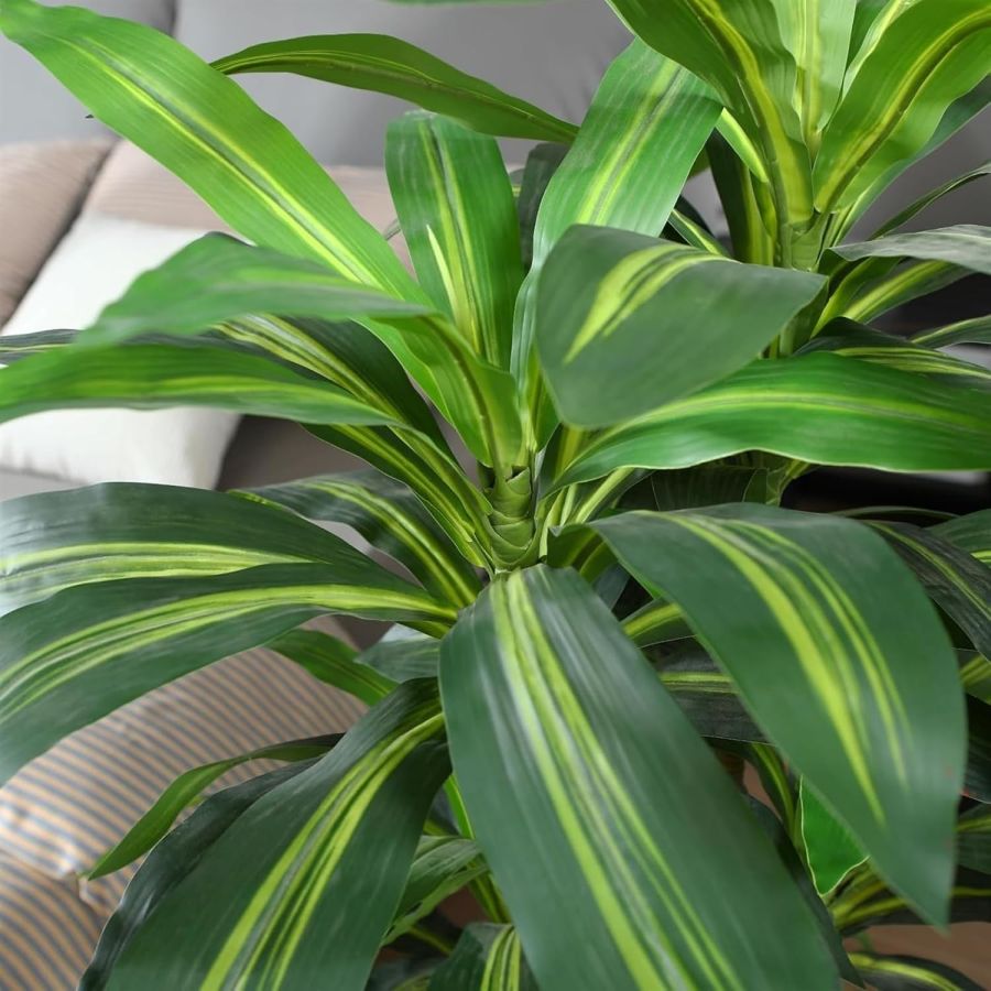 Planta Brazilian Wood artificiala, planta decor...