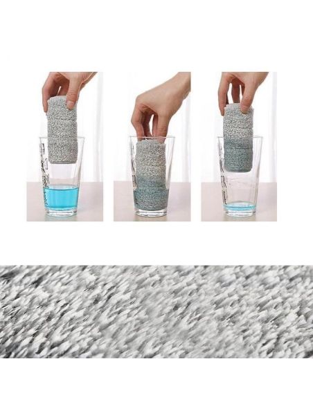 Reverva Mop Profesional