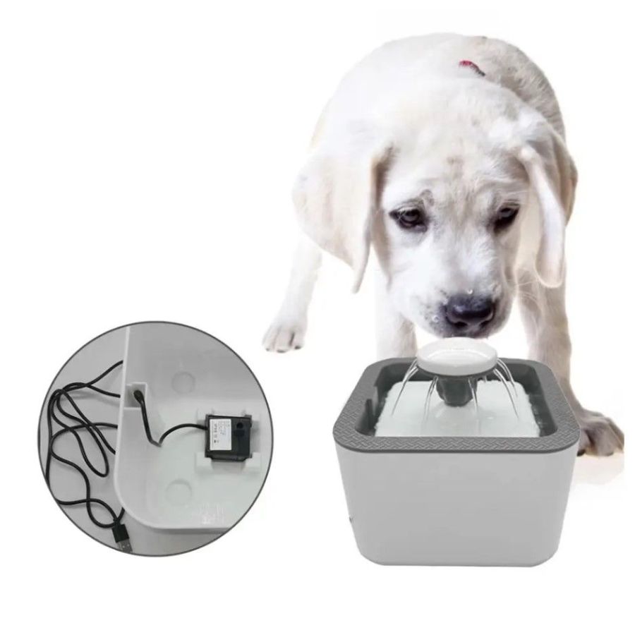 Fantana electrica, dozator, dispenser apa...