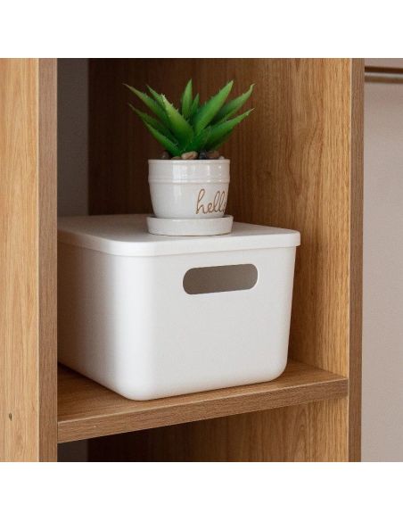 Cutie cu capac marimea M pentru depozitare, organziare locuinta, cutii depozitare Elastix