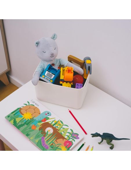 Cutie cu capac marimea S pentru depozitare, organziare locuinta, cutii depozitare Elastix