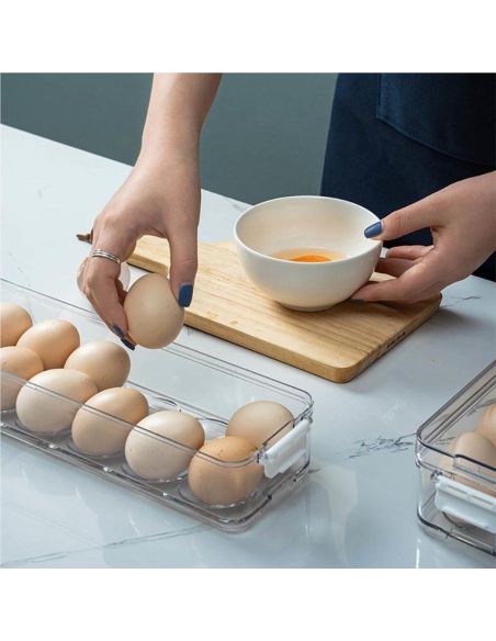 Cutie organizatoare pentru oua, suport oua, cutie oua Elastix