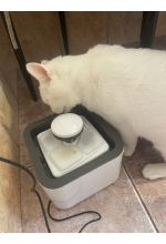 Photo from customer for Fantana electrica, dozator, dispenser apa pentru animalele de companie. Elastix